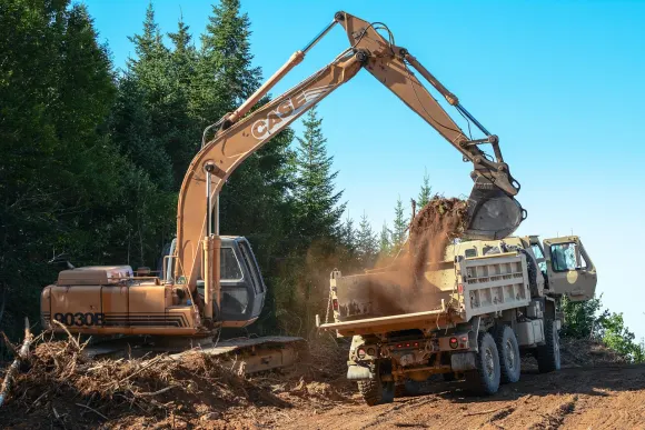 Wombet Casino Stuðningur